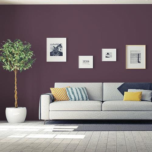 PPG 2025 Color of the Year, Purple Basil
